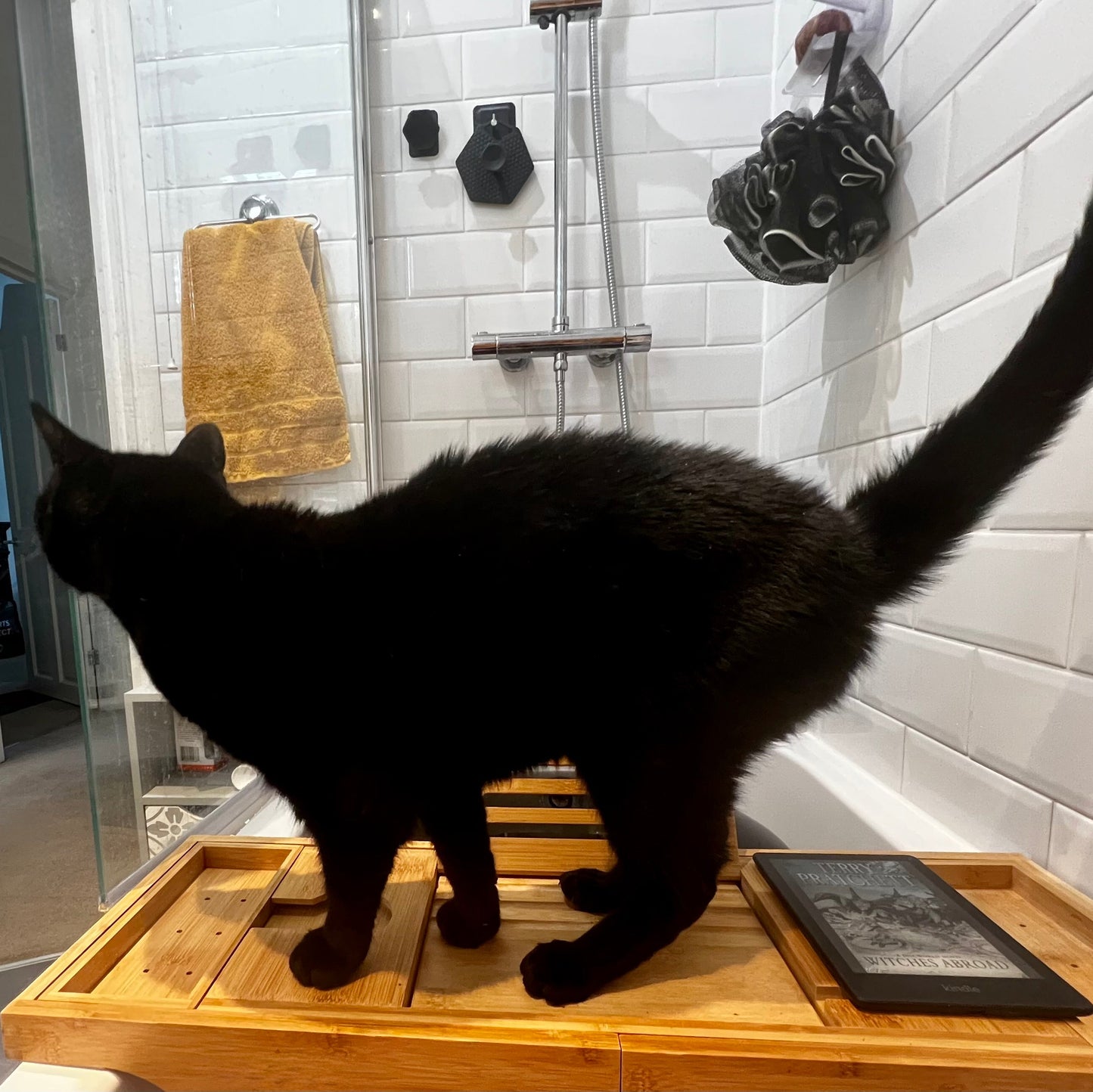 Black cat standing on a wooden platform in a bathroom with tiled walls.